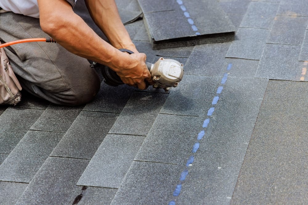 How to Stop Roof Leaks Before They Cause Major Damage: Expert Tips for Sydney Homeowners